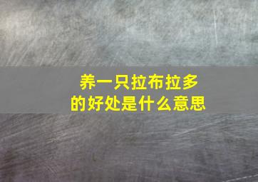 养一只拉布拉多的好处是什么意思