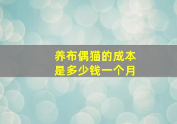 养布偶猫的成本是多少钱一个月