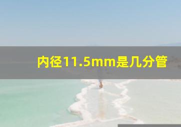 内径11.5mm是几分管