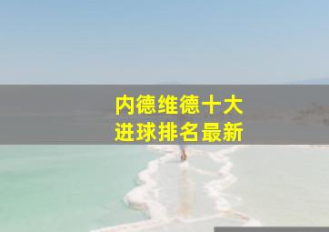 内德维德十大进球排名最新