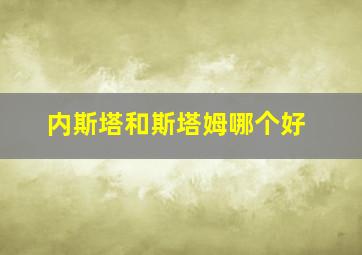 内斯塔和斯塔姆哪个好