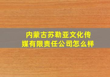 内蒙古苏勒亚文化传媒有限责任公司怎么样