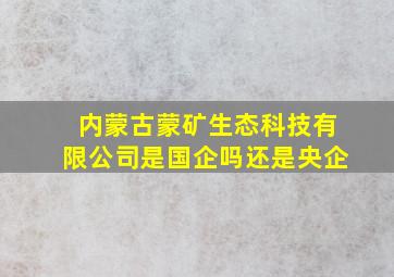 内蒙古蒙矿生态科技有限公司是国企吗还是央企