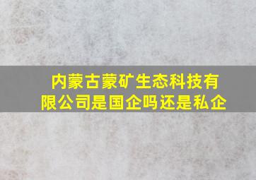 内蒙古蒙矿生态科技有限公司是国企吗还是私企