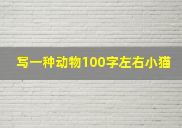 写一种动物100字左右小猫