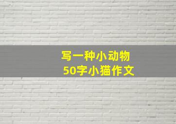 写一种小动物50字小猫作文