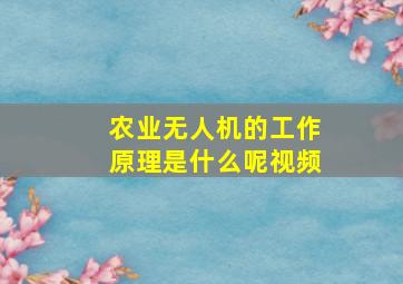 农业无人机的工作原理是什么呢视频