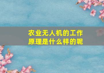 农业无人机的工作原理是什么样的呢