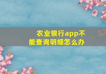 农业银行app不能查询明细怎么办