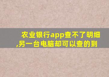 农业银行app查不了明细,另一台电脑却可以查的到