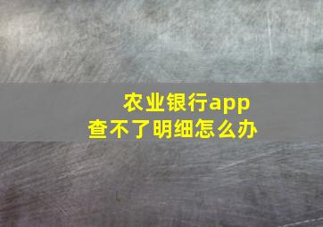 农业银行app查不了明细怎么办