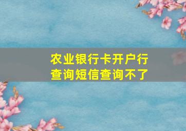 农业银行卡开户行查询短信查询不了