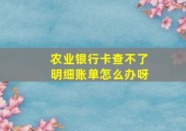 农业银行卡查不了明细账单怎么办呀