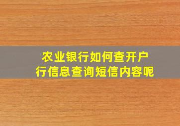 农业银行如何查开户行信息查询短信内容呢