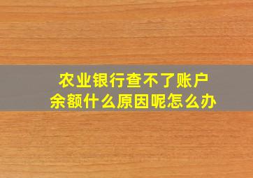 农业银行查不了账户余额什么原因呢怎么办