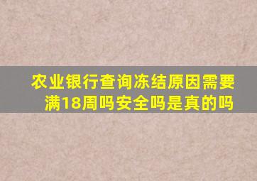 农业银行查询冻结原因需要满18周吗安全吗是真的吗