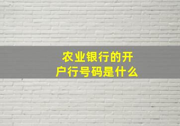 农业银行的开户行号码是什么