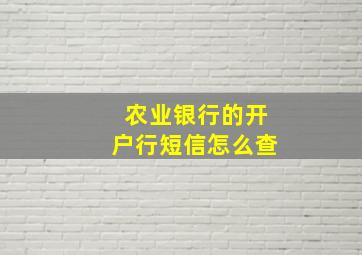 农业银行的开户行短信怎么查