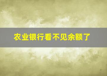 农业银行看不见余额了