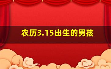 农历3.15出生的男孩