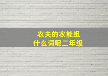 农夫的农能组什么词呢二年级