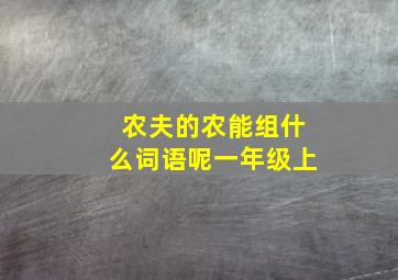 农夫的农能组什么词语呢一年级上