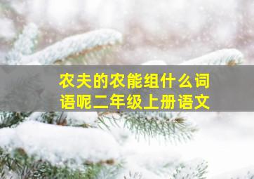 农夫的农能组什么词语呢二年级上册语文