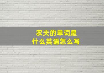 农夫的单词是什么英语怎么写