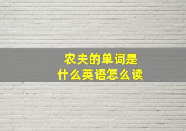 农夫的单词是什么英语怎么读