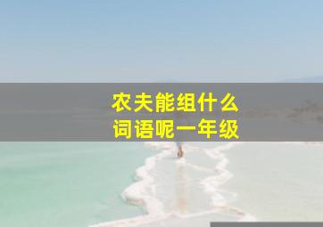 农夫能组什么词语呢一年级