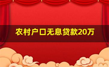 农村户口无息贷款20万