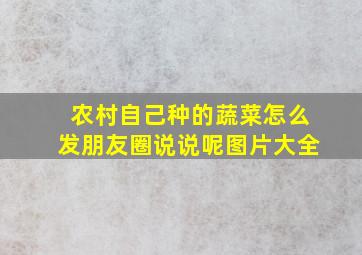 农村自己种的蔬菜怎么发朋友圈说说呢图片大全