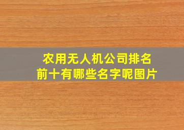 农用无人机公司排名前十有哪些名字呢图片