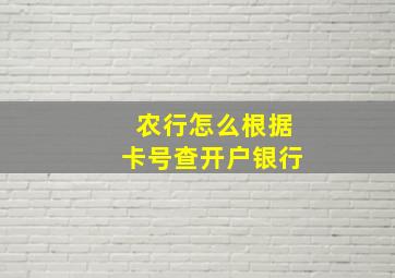 农行怎么根据卡号查开户银行