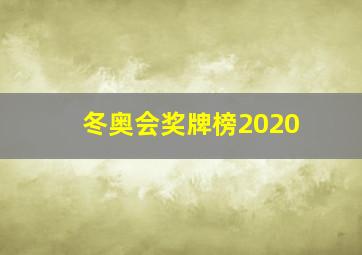 冬奥会奖牌榜2020