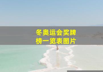 冬奥运会奖牌榜一览表图片