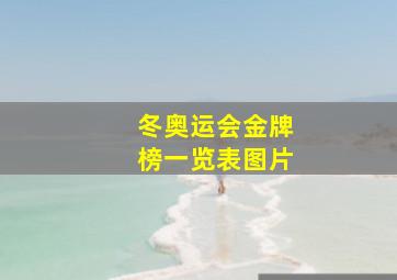 冬奥运会金牌榜一览表图片