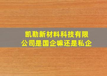 凯勒新材料科技有限公司是国企嘛还是私企