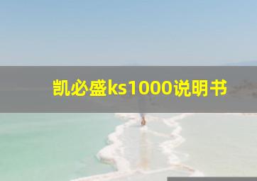 凯必盛ks1000说明书