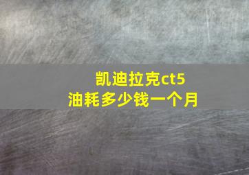 凯迪拉克ct5油耗多少钱一个月