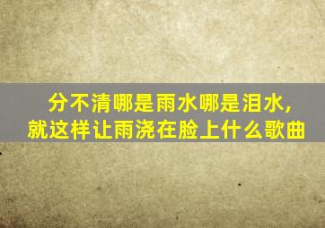 分不清哪是雨水哪是泪水,就这样让雨浇在脸上什么歌曲