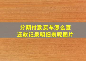 分期付款买车怎么查还款记录明细表呢图片