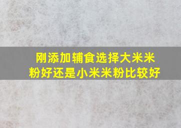 刚添加辅食选择大米米粉好还是小米米粉比较好