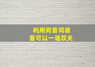 利用同音词谐音可以一语双关