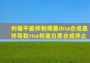 利福平能抑制细菌dna合成最终导致rna和蛋白质合成停止