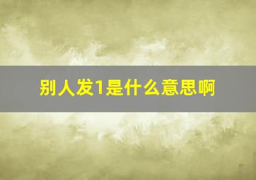 别人发1是什么意思啊