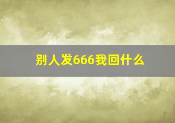 别人发666我回什么