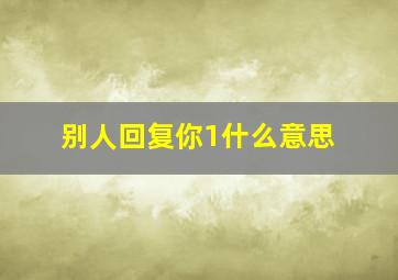 别人回复你1什么意思