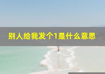 别人给我发个1是什么意思