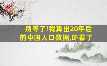 别等了!我算出20年后的中国人口数据,吓着了